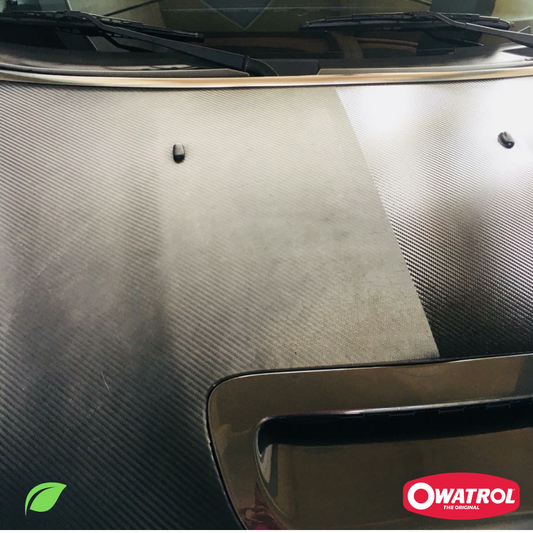 Polytrol protettivo ravvivante del colore